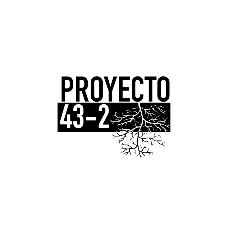 PROYECTO 43-2